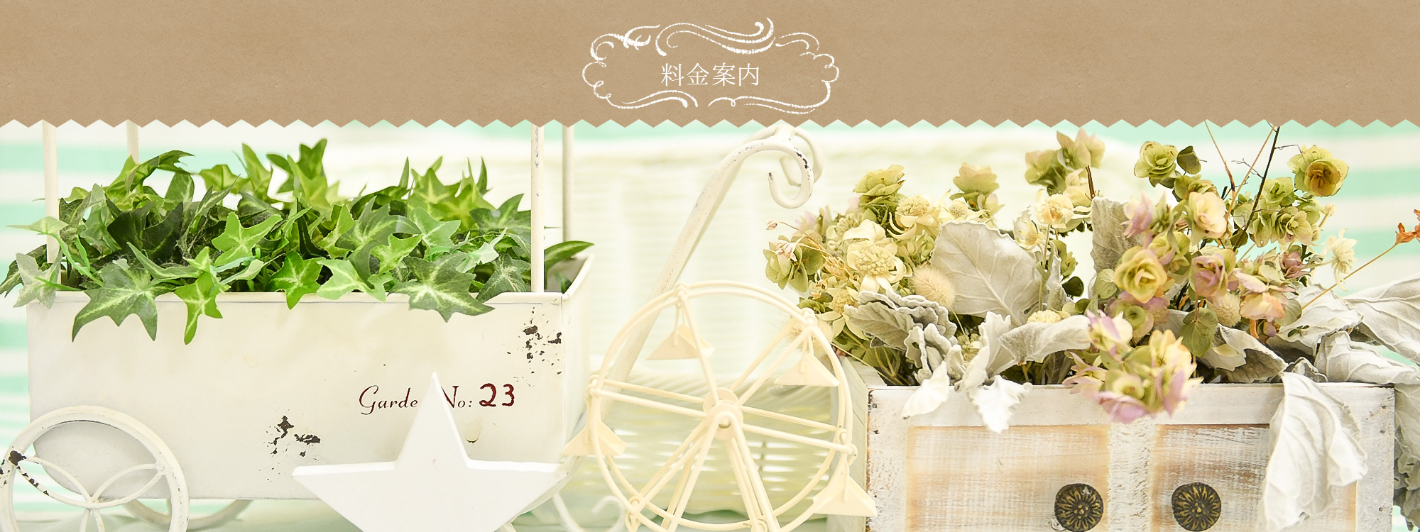 ニューボーンフォトプラン