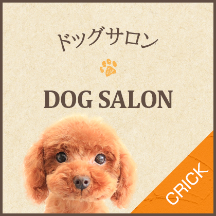 dogsalon_half_banner