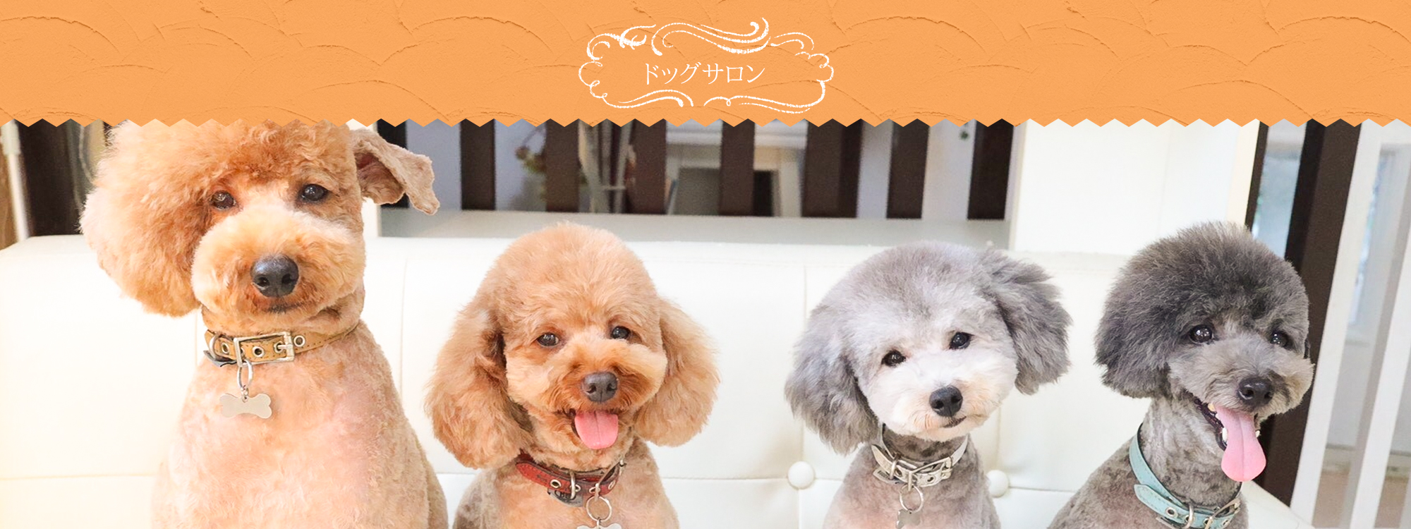 ドッグサロン