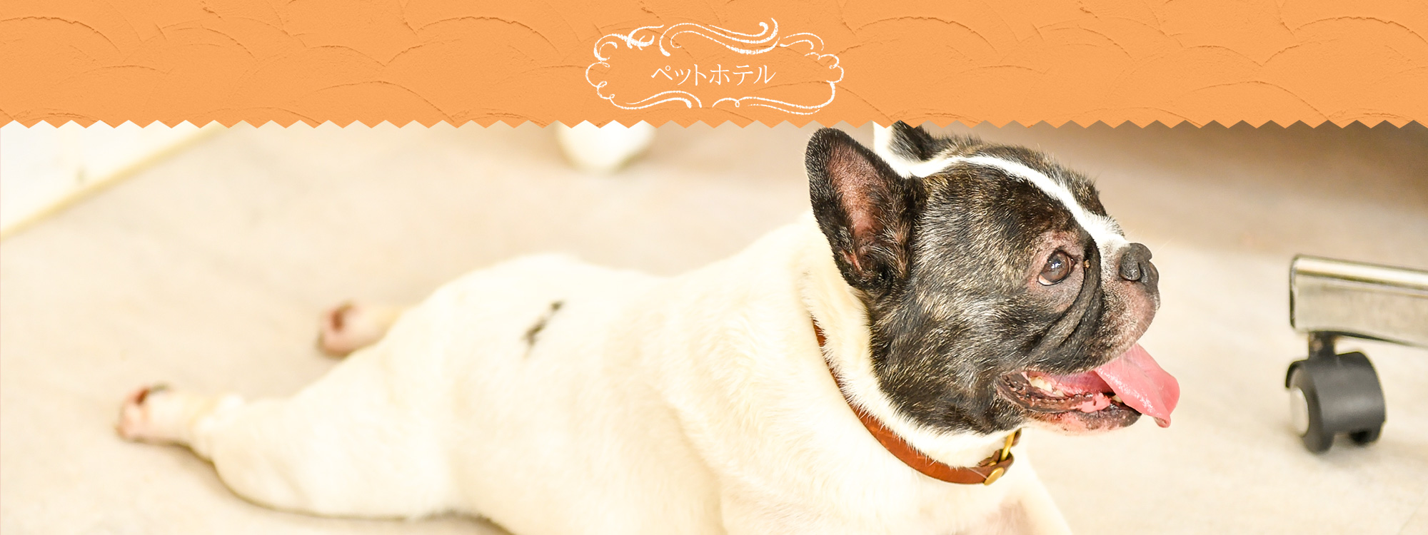 ペットホテル