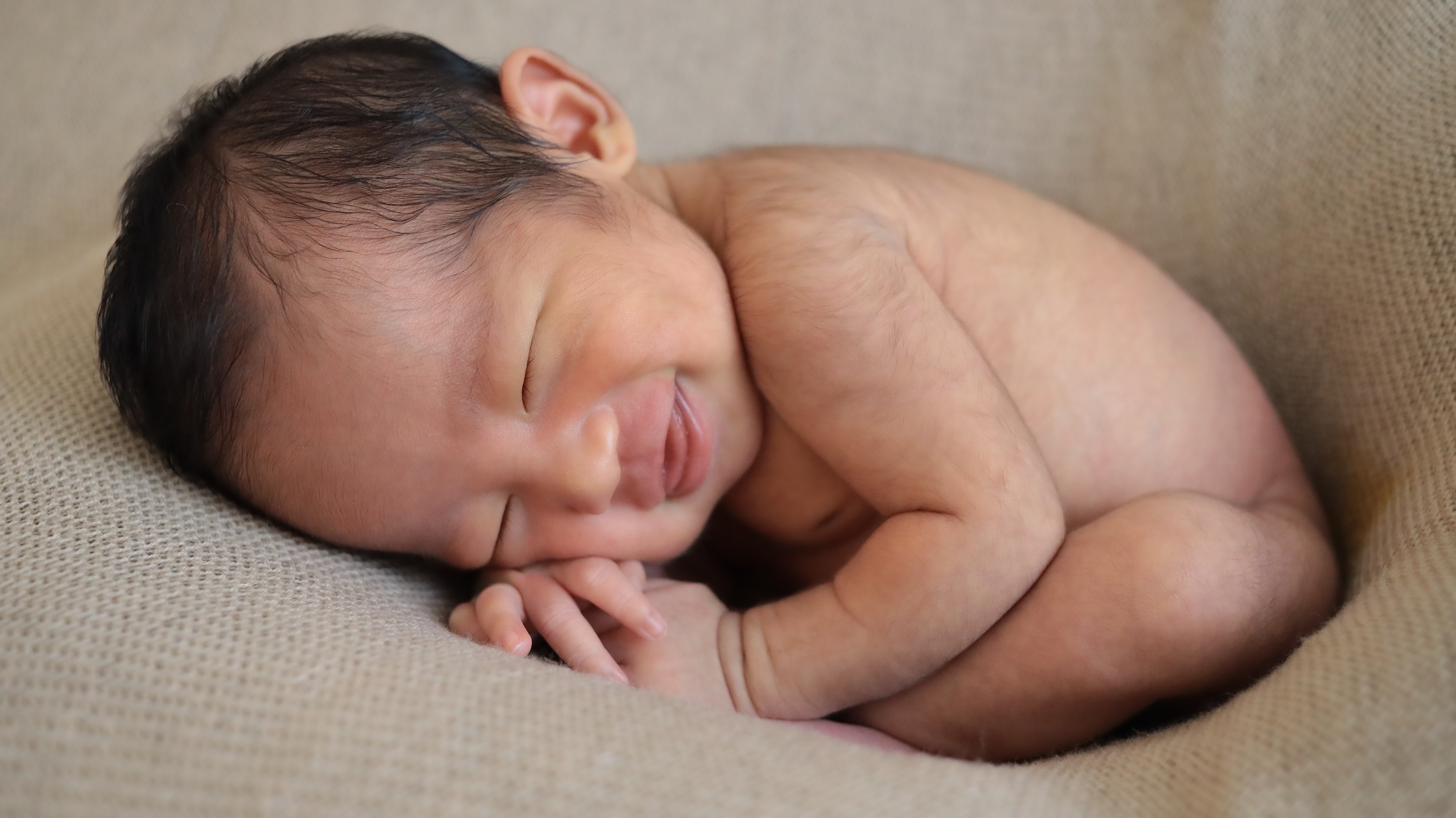 必ずお読みください